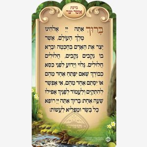 מגנט אשר יצר